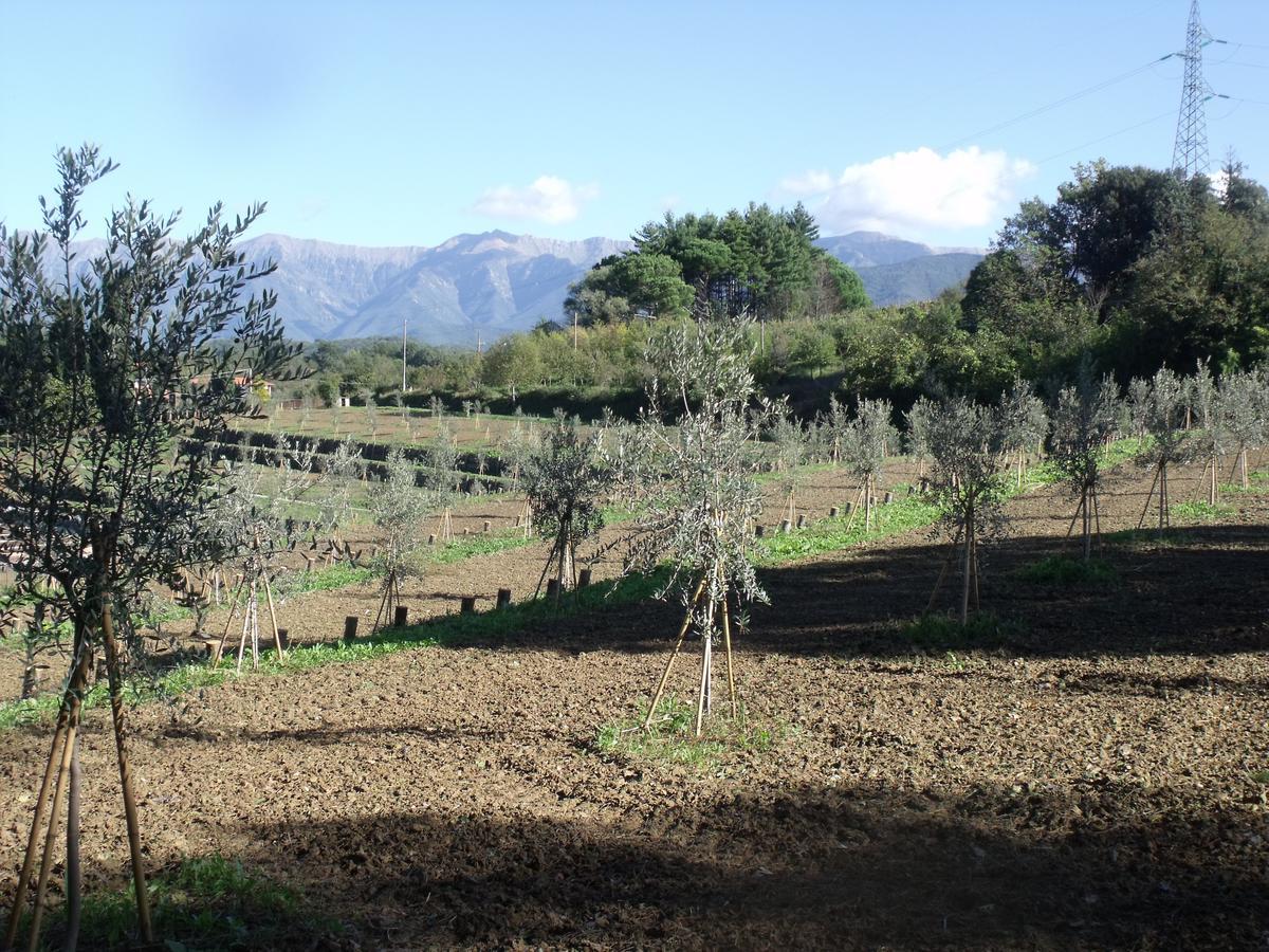 B&B Podere Montese Villafranca in Lunigiana Exterior photo