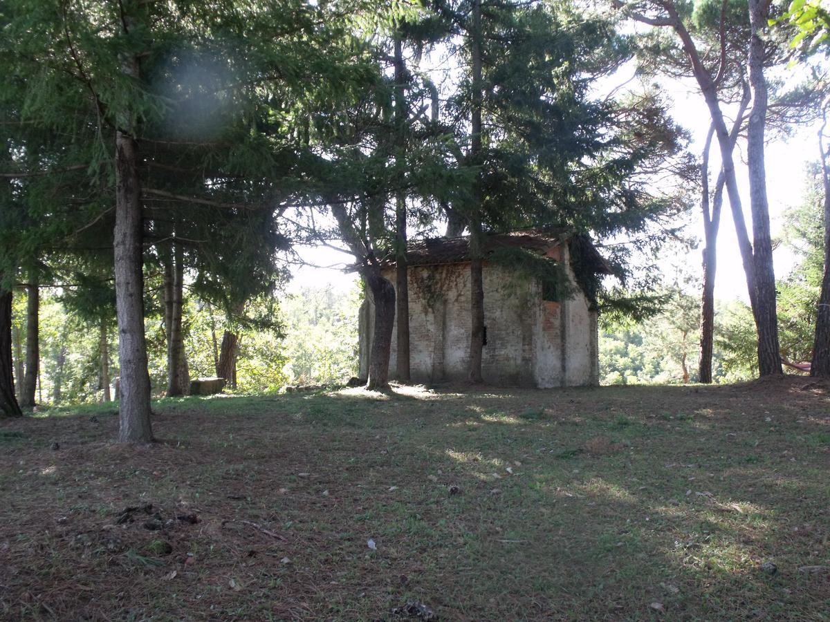 B&B Podere Montese Villafranca in Lunigiana Exterior photo